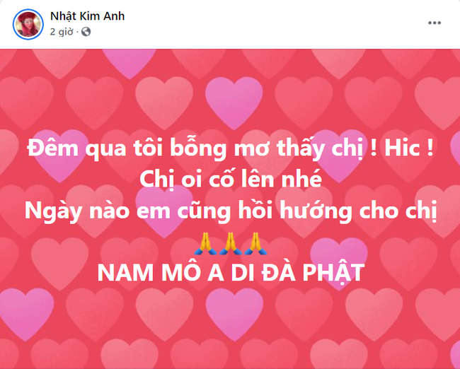 Bệnh tình Phi Nhung trở nặng, nhiều nghệ sĩ lo lắng làm điều này - Ảnh 2.