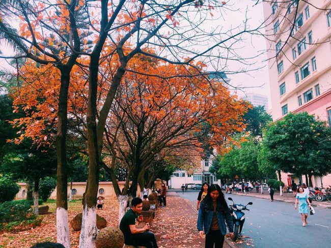 Đại học lãng mạn nhất nhì Hà Nội: Sân trường đẹp như phim &quot;Trái tim mùa thu&quot;, Song Hye Kyo mà bước vào chắc cũng lụi tim - Ảnh 7.