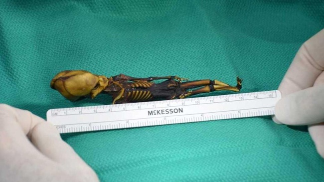 Bí ẩn về xác ướp "ngoài hành tinh" dài 13cm ở sa mạc khô nhất thế giới, sau 18 năm giải mã y học không khỏi đau lòng vì lý do đằng sau - Ảnh 2. Bí ẩn về xác ướp "ngoài hành tinh" dài 13cm ở sa mạc khô nhất thế giới, sau 18 năm giải mã y học không khỏi đau lòng vì lý do đằng sau - Ảnh 2.