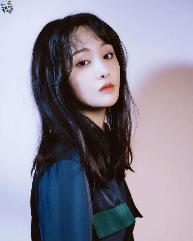 Điểm tên các minh tinh Hoa ngữ bị "triệt đường" quay lại showbiz và còn gắn thêm danh xưng đáng xấu hổ - Ảnh 2.