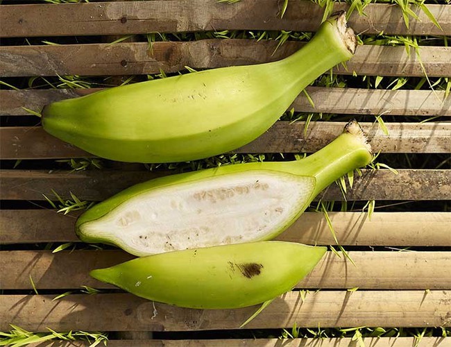 Loại chuối này được coi là thần dược trị bệnh, từ gốc đến ngọn đều được tận dụng, tiếc là người Việt không coi trọng vì không ngon - Ảnh 4. Loại chuối này được coi là thần dược trị bệnh, từ gốc đến ngọn đều được tận dụng, tiếc là người Việt không coi trọng vì không ngon - Ảnh 4.