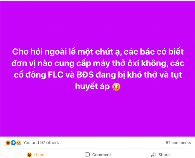 Cổ phiếu bất động sản nằm sàn la liệt sau khi Tân Hoàng Minh bỏ cọc, cổ đông tìm mua &quot;máy trợ thở&quot;  - Ảnh 2.