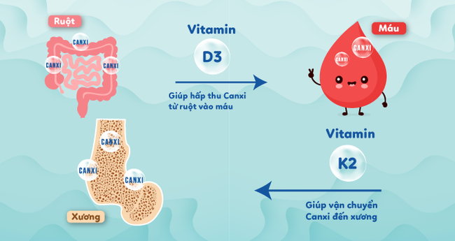 3 xu hướng bổ sung vitamin D3K2 – Hỗ trợ con chiều cao đạt chuẩn - Ảnh 2.