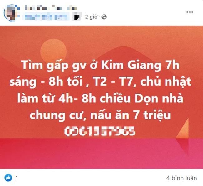 Giá ô sin tăng &quot;phi mã&quot; sau Tết, dù &quot;đỏ mắt&quot; tìm trông mà vẫn như mò kim đáy biển - Ảnh 5.