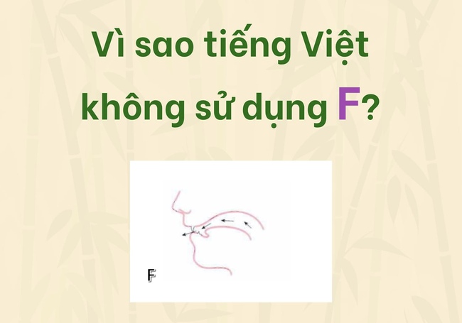 Bảng chữ cái tiếng Việt hiện nay có 29 - Hình 1.