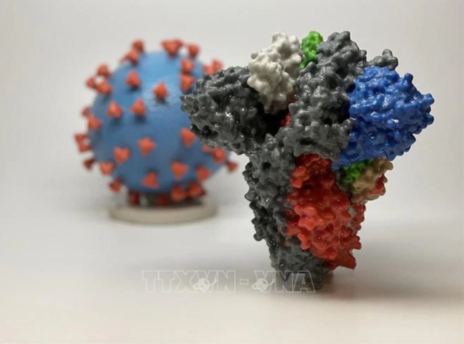 Nghiên cứu trên chuột cho thấy không cần mũi vaccine tăng cường đặc hiệu chống biến thể Omicron - Ảnh 1. Nghiên cứu trên chuột cho thấy không cần mũi vaccine tăng cường đặc hiệu chống biến thể Omicron - Ảnh 1.