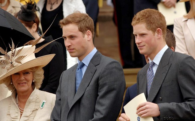 Từ &quot;kẻ thứ 3&quot; trở thành mẹ kế, Vương hậu mới của hoàng gia Anh đã chinh phục William và Harry nhờ 3 điều Quan Trọng - Ảnh 1.