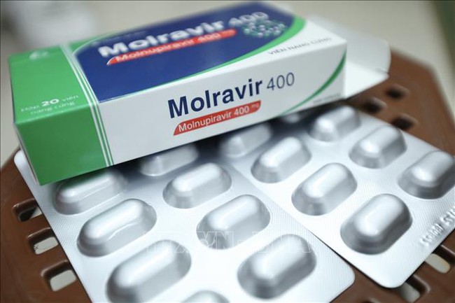 4 lưu ý dùng thuốc Molnupiravir dù bạn là F0 hay vẫn chưa nhiễm bệnh đều cần ghi nhớ - Ảnh 4.
