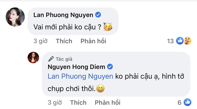 Hồng Diễm nói gì trước nghi vấn đóng phim mới, bị chê kiêu và chảnh vẫn đáp trả cực văn minh - Ảnh 2.