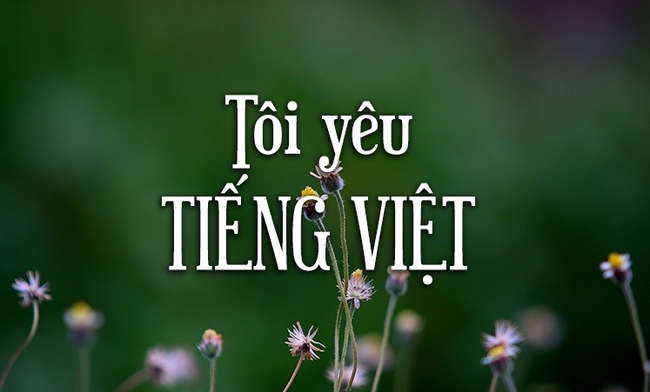 Vietnamese quiz 