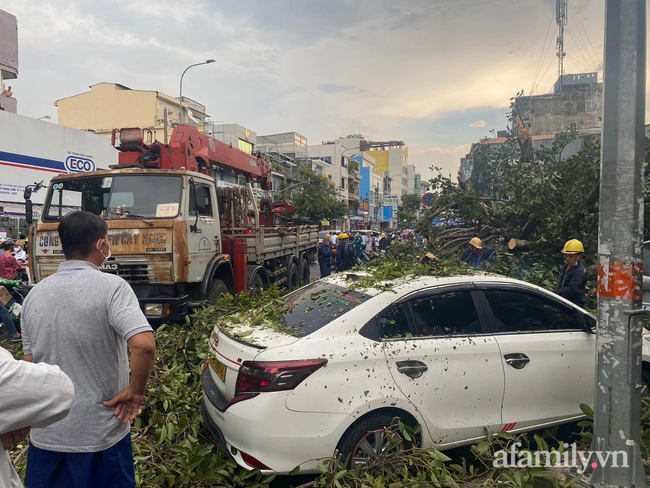 TP.HCM: Cây đa cổ thụ cạnh Bệnh viện Ung bướu bật gốc trong mưa lớn đè trúng 2 ô tô, nhiều người may mắn thoát chết - Ảnh 2. TP.HCM: Cây đa cổ thụ cạnh Bệnh viện Ung bướu bật gốc trong mưa lớn đè trúng 2 ô tô, nhiều người may mắn thoát chết - Ảnh 2.