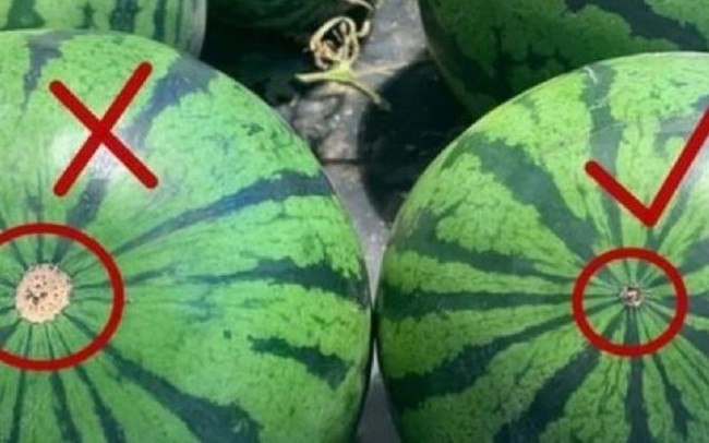 Watermelon has these 5 signs, so you should buy it right away because the fruit is ripe and old, super sweet and still has a lot of water, make sure to eat it once and have to buy it next time - Photo 3.