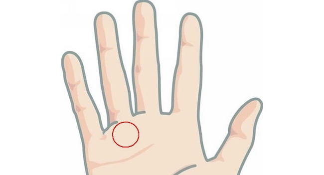 Ai có đặc điểm này trong lòng bàn tay thì cả đời giàu có sung túc vạn phần, kiểm tra xem bạn có không? - Ảnh 1.