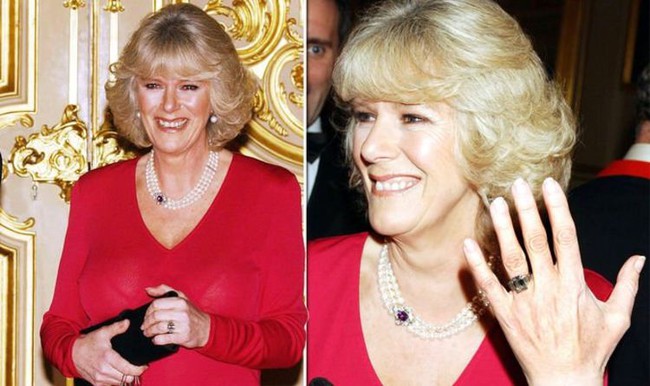 Khoảnh khắc cho thấy sự khác biệt đầy chua chát giữa Công nương Diana và &quot;tình địch&quot; Camilla khiến dưg luận dậy són - Ảnh 3.