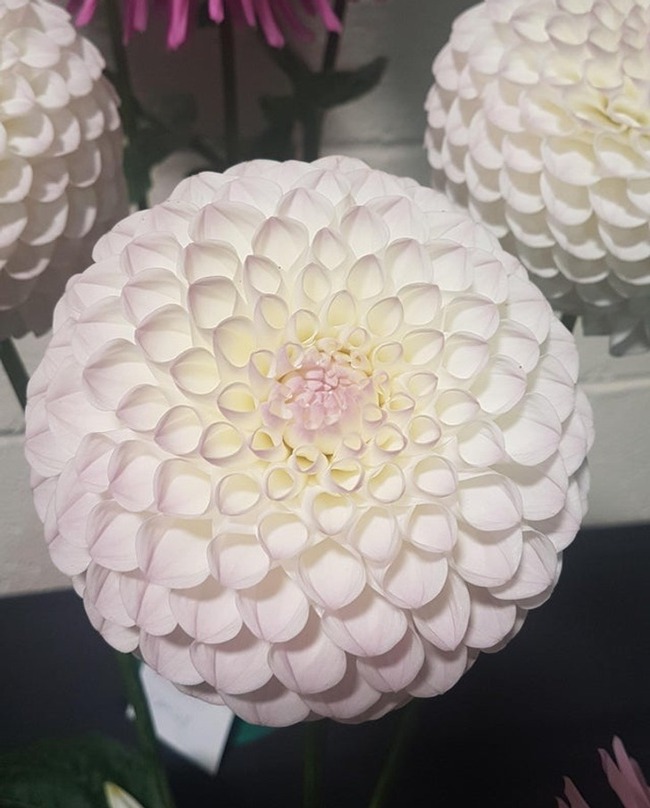 16 photos look strangely smooth, simple, but have the power to have a magical effect on the brain that science can't explain - Photo 3. 16 photos look strangely smooth, simple, but have the power to have a magical effect on the brain that science can't explain - Photo 3.
