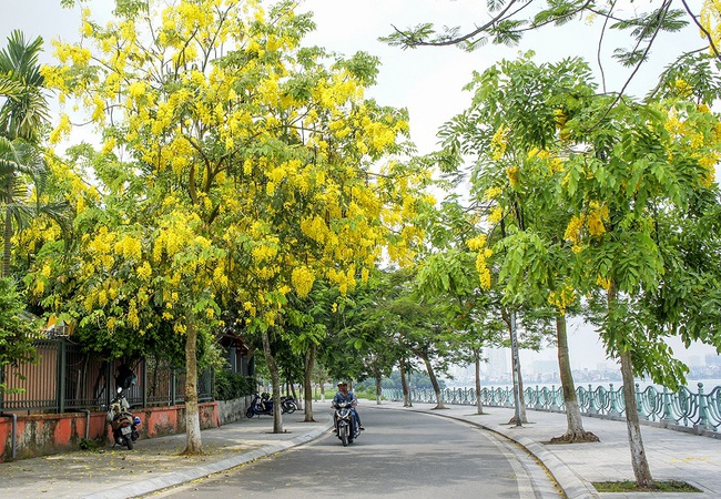 Tháng 04 như muốn "níu" Đông trở về, miền Bắc vẫn tiếp tục đón thêm nhiều đợt không khí lạnh, nền nhiệt thấp hơn trung bình nhiều năm - Ảnh 1. Tháng 04 như muốn "níu" Đông trở về, miền Bắc vẫn tiếp tục đón thêm nhiều đợt không khí lạnh, nền nhiệt thấp hơn trung bình nhiều năm - Ảnh 1.