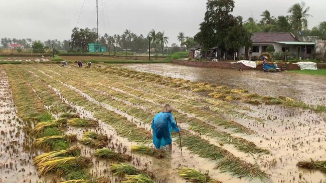 Miền Trung đón hiện tượng thời tiết &quot;dị thường&quot;, hiếm gặp gây ra đợt mưa lớn vượt kỷ lục nhiều năm  - Ảnh 3.