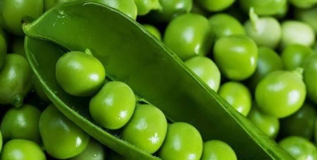 Phụ nữ không muốn "to bụng" thì nên ăn nhiều thực phẩm này vào mùa hè, vừa giảm cân lại bổ máu dưỡng nhan, làm sạch ruột - Ảnh 5. Phụ nữ không muốn "to bụng" thì nên ăn nhiều thực phẩm này vào mùa hè, vừa giảm cân lại bổ máu dưỡng nhan, làm sạch ruột - Ảnh 5.