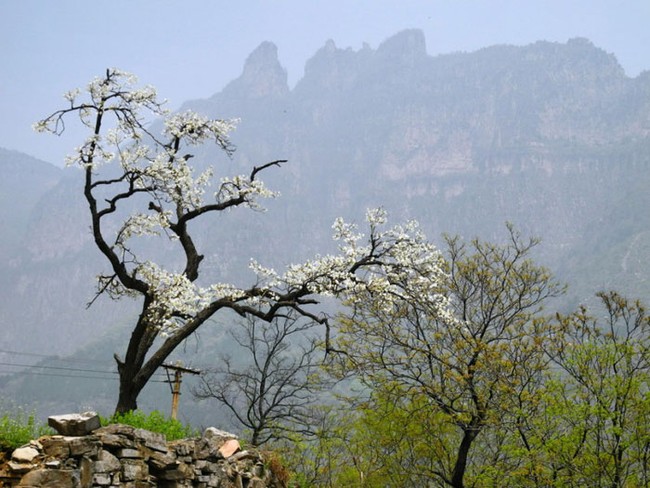 Thôn làng &quot;nguy hiểm&quot; nhất Trung Quốc: Tọa lạc tên núi đá cao 1.700m, phong cảnh như chốn bồng lai, đường lên dốc đứng thách thức mọi tay lái lão luyện - Ảnh 6.