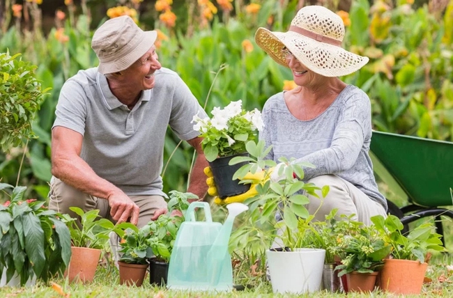 The world's longest-lived people always do these 4 simple things every day to keep their blood vessels healthy, so they don't have to worry about heart disease for a lifetime - Photo 3.