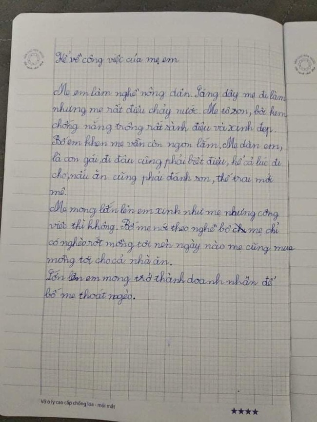 Xuất hiện bài văn tả mẹ LÀM NÔNG DÂN gây bão: Bóc phốt mẹ điệu chảy nước, nghèo rớt mồng tơi, nhưng đọc câu cuối ai cũng khen nức nở - Ảnh 1.
