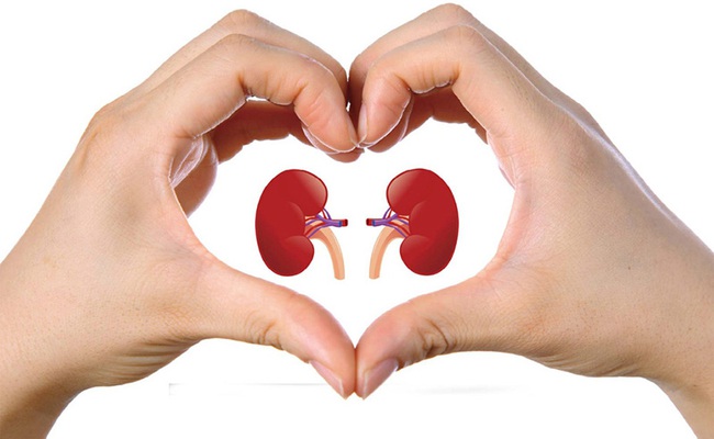Nhìn vào 5 chỗ này trên cơ thể, càng tốt thì thận càng khoẻ rất đáng chúc mừng - Ảnh 1. Nhìn vào 5 chỗ này trên cơ thể, càng tốt thì thận càng khoẻ rất đáng chúc mừng - Ảnh 1.