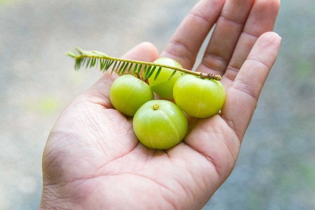 Synthesis of herbs capable of effectively controlling blood pressure - Photo 2.