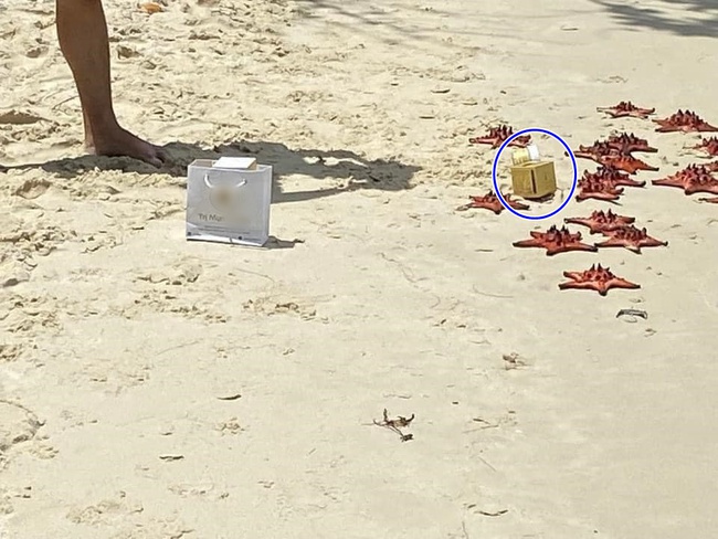 Xôn xao hình ảnh đôi nam nữ thản nhiên bắt sao biển lên bờ phơi nắng, lý do để chụp hình quảng cáo mỹ phẩm? - Ảnh 3.