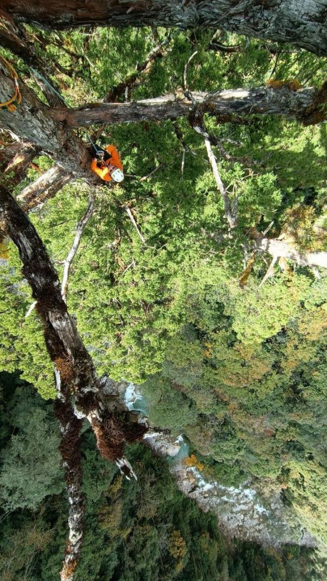 Nghề khoa học: Mạo hiểm trên núi cao hơn 5.000m, xuống hố sâu vài trăm mét chỉ để... tìm hạt giống - Ảnh 9.