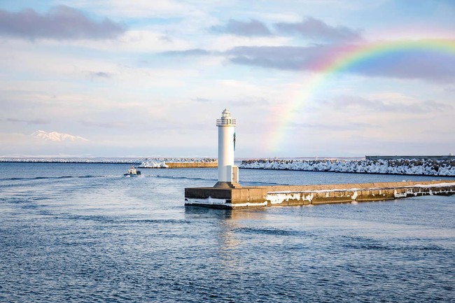 Thì ra đây là &quot;xứ sở mùa đông&quot; Hokkaido, nơi tuyết trắng gặp biển xanh: Chỉ nhìn ảnh đã thấy đẹp tới choáng ngợp - Ảnh 13.