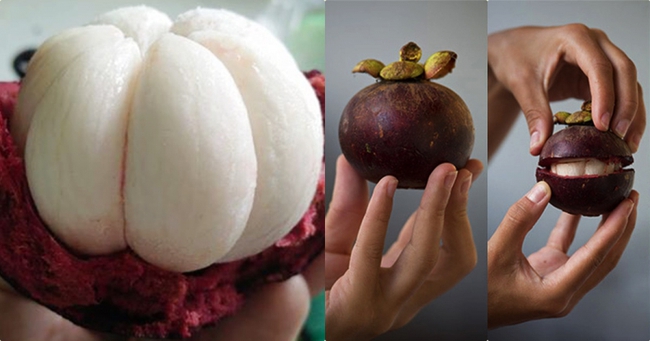 When going to the market, smart people who see these 3 types of mangosteen will buy it right away because they are 'best in the market', the thick, sweet, and extremely nutritious fruit - Photo 2.