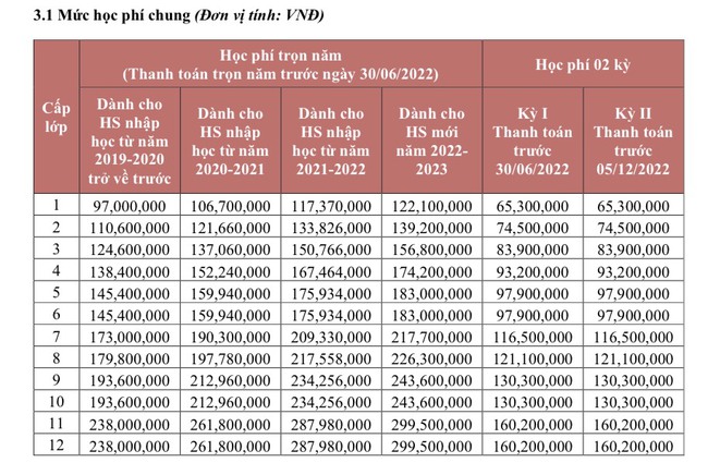 &quot;Đọ&quot; học phí của 10 trường tiểu học TƯ THỤC ở TP.HCM giảng dạy chương trình của Bộ GD&ĐT: Nơi tháng chưa tới 2 triệu, nơi nhìn con số mà toát mồ hôi - Ảnh 3.