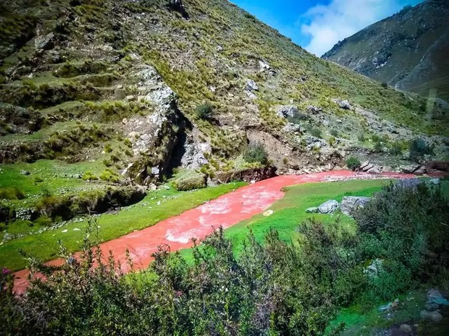 There is a river of blood-red water like rolling blood flowing through the green grass field, named as a place of Vietnam - Photo 2.