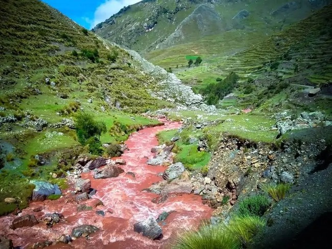 There is a river of blood-red water like billowing blood flowing through the green grass field, named like a place of Vietnam - Photo 6.