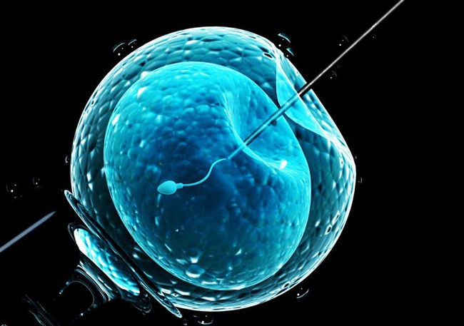 Many failed embryo transfers, women try the following 6 ways to quickly have children - Photo 4.