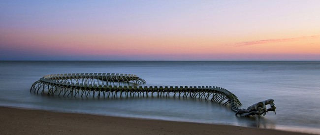 The image of a giant monster skeleton emerging from the sea is terrifying, still attracting crowds of tourists to check-in - Photo 1.