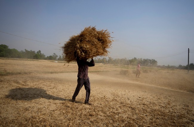 The country suffers from the most terrible heat today: Children can't stand crying, parents still rush to the street to make a living in the middle of a 