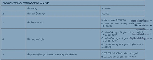 Loạt trường tư thục, quốc tế ở quận Nam Từ Liêm: Học phí từ 37 triệu đồng/năm, có 1 trường siêu HOT, phụ huynh xếp hàng từ đêm để nộp hồ sơ - Ảnh 5.