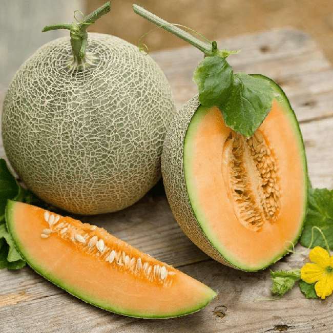 Eating cantaloupe regularly every day, women's skin appears 4 unbelievable changes - Photo 5.