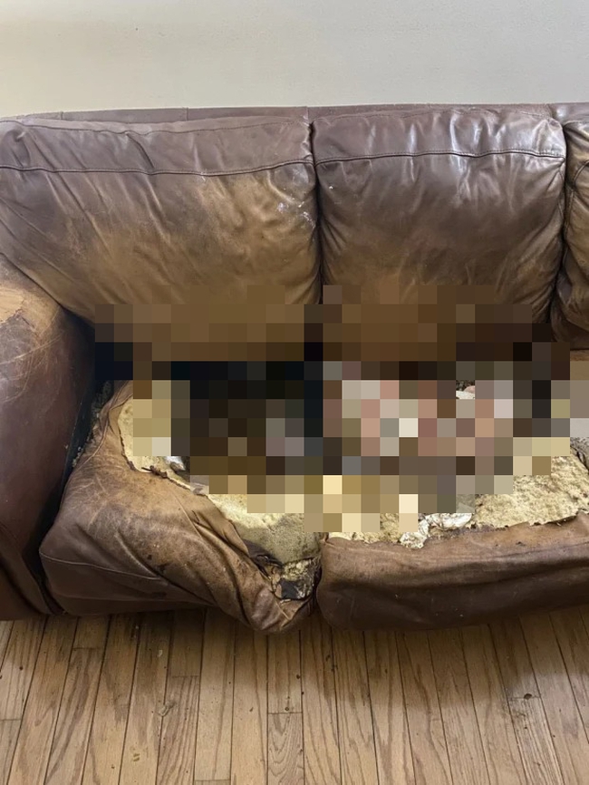Many years of sitting in one place to the extent that the sofa is recessed because of autism, the woman dies rotting in the house and the harsh truth about her biological parents - Photo 2.