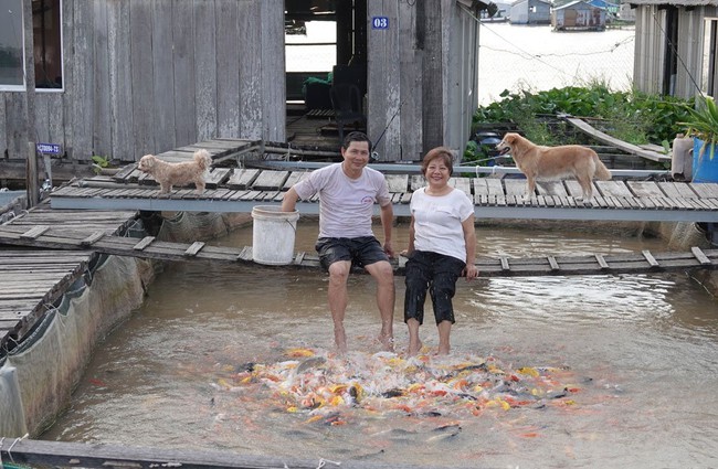 Lão nông bạc tỷ và bí quyết thành công khi đội &quot;nóc nhà lên đầu&quot;: Lãi lớn không ngờ sau gần 3 thập kỉ vợ chồng sống xa nhau - Ảnh 4.