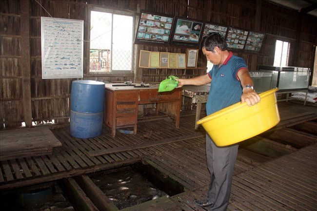 Lão nông bạc tỷ và bí quyết thành công khi đội &quot;nóc nhà lên đầu&quot;: Lãi lớn không ngờ sau gần 3 thập kỉ vợ chồng sống xa nhau - Ảnh 5.