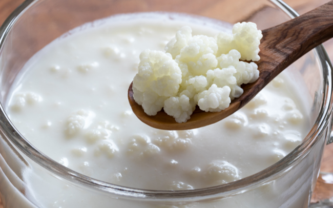 Nấm sữa Kefir: Tác dụng bất ngờ cho sức khỏe và cách nuôi nấm sữa đơn giản tại nhà - Ảnh 1.