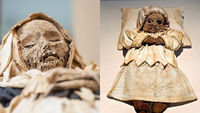 Tìm thấy xác ướp 300 tuổi của 2 mẹ con dưới hầm mộ nhà thờ, chuyên gia hé lộ sự thật hàng vạn đứa trẻ thời xưa phải hứng chịu - Ảnh 2.