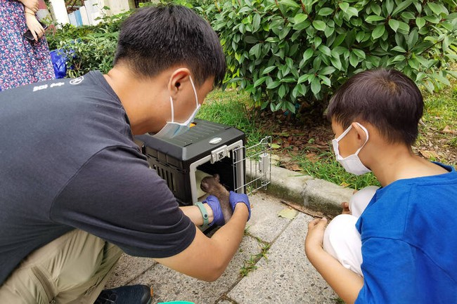 Gia đình nhặt được &quot;cún con&quot; mang về nuôi, 2 tháng sau mới phát hiện là loài động vật được bảo vệ cấp quốc gia - Ảnh 2.