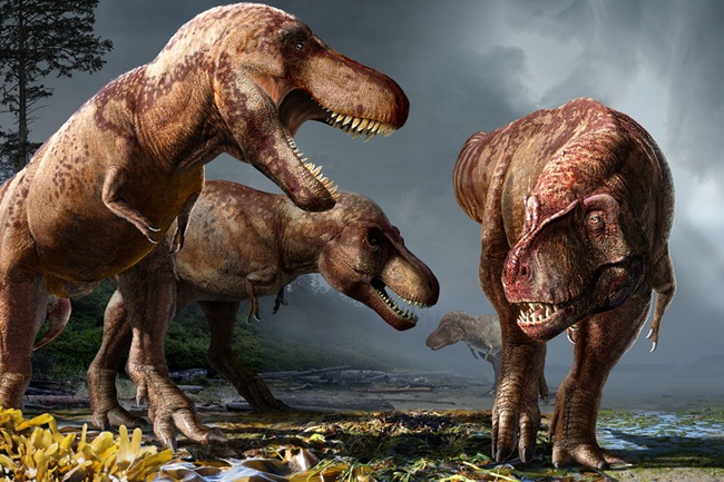 Khoa học khám phá ra lý do khủng long bạo chúa có đôi tay &quot;tí nị&quot;, sự thật không ai đoán được - Ảnh 2.