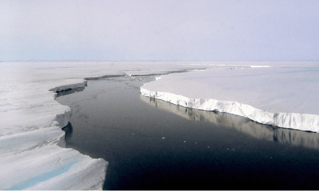 Phát hiện cả một &quot;thế giới ngầm&quot; dưới lớp băng dày của Nam Cực khiến các nhà khoa học &quot;nhảy cẫng lên&quot; vì mừng rỡ - Ảnh 2.