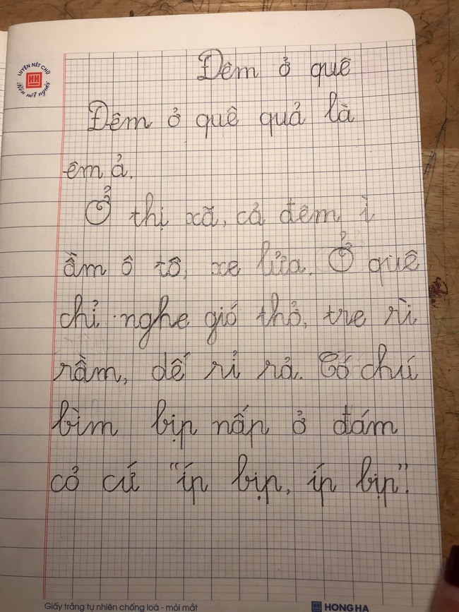 Bài văn miêu tả của học sinh lớp 1 khiến phụ huynh &quot;sang chấn tâm lý&quot; - Ảnh 1.