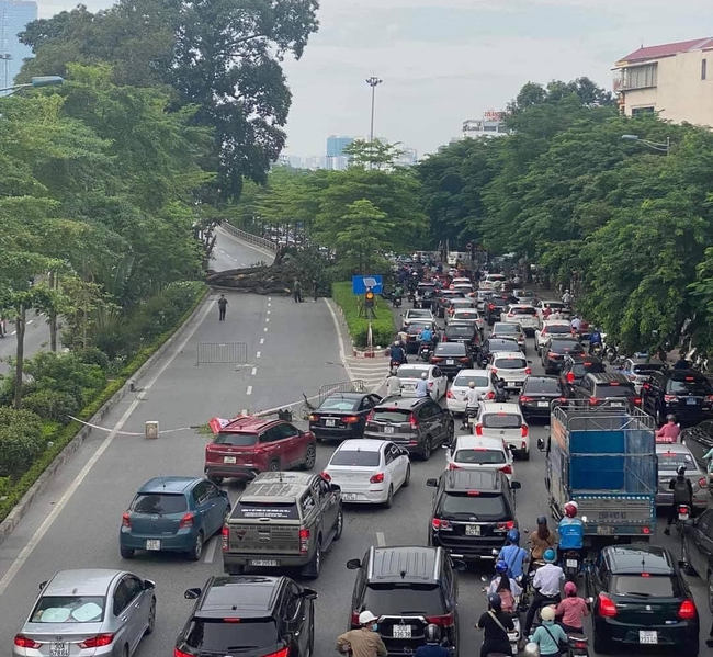 Hà Nội: Cây đổ ngang đường, hàng ngàn phương tiện tham gia giao thông bị ùn tắc - Ảnh 2.