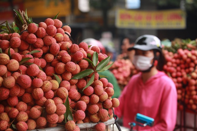 Vải chín sớm